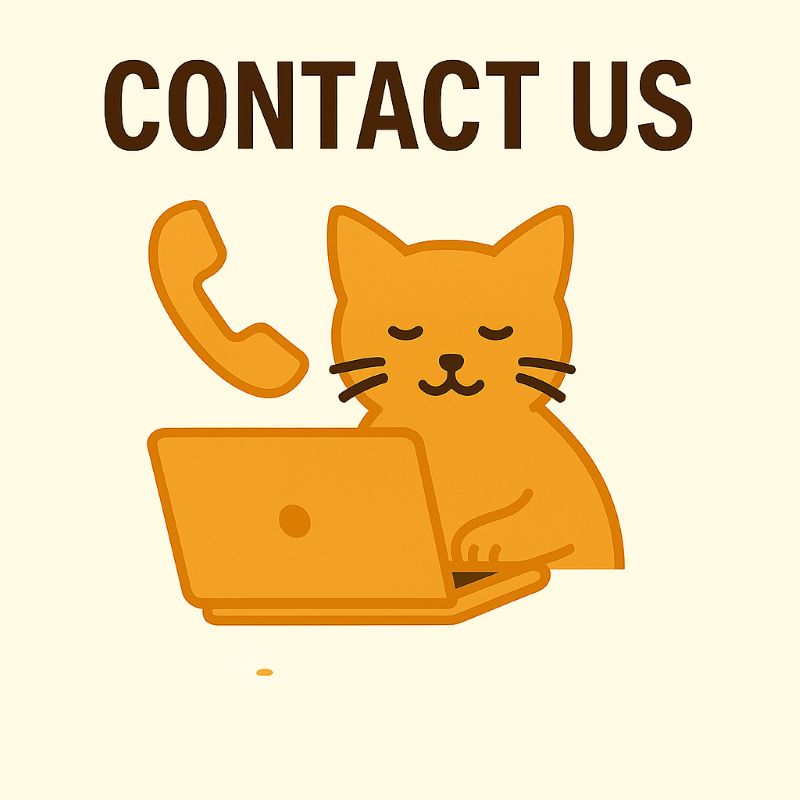 Cat at the computer contacting us